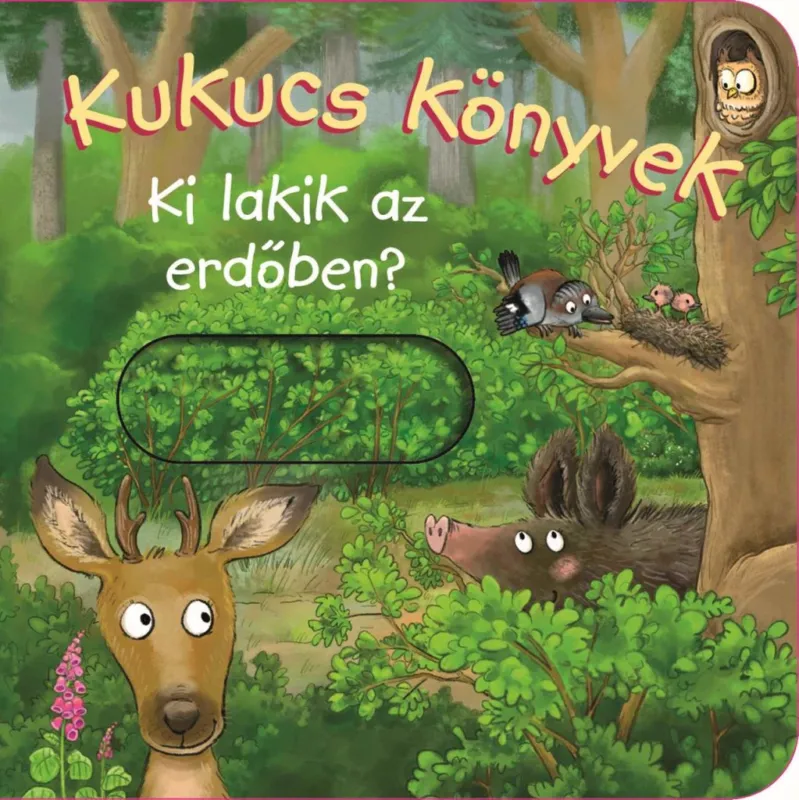 Kiárusítás Kukucs Könyvek - Ki lakik az erdőben?