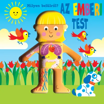 Milyen belülről - Az emberi test Expressz szállítás