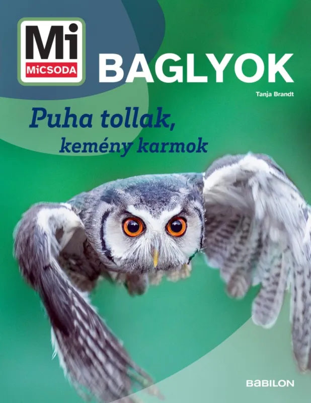 Prémium Mi MICSODA Baglyok - Puha tollak, kemény karmok