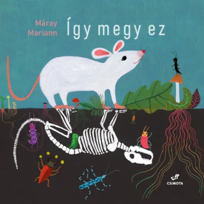 Legnépszerűbb Így megy ez