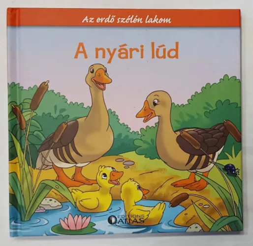 Különleges ajánlat A nyári lúd - Az erdő szélén lakom