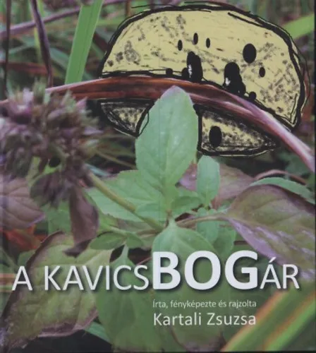 A kavicsbogár Csak ma
