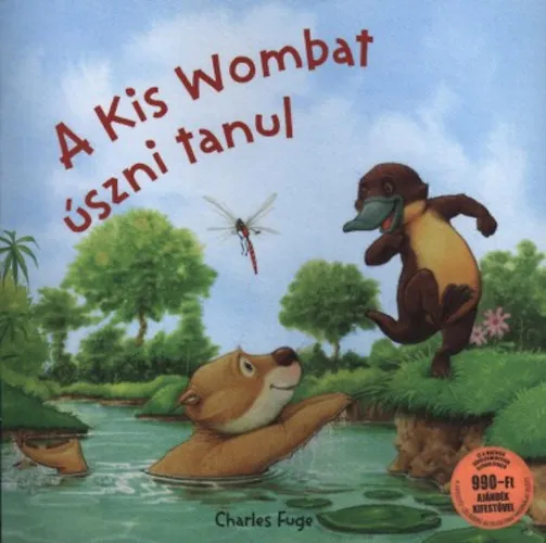 A Kis Wombat úszni tanul Árcsökkenés