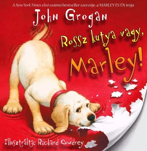 Rossz kutya vagy, Marley Bestseller