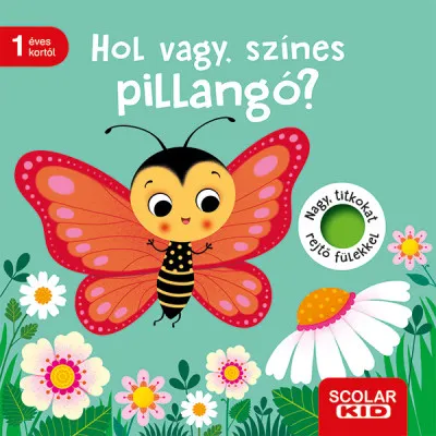 Ajánlat Hol vagy, színes pillangó?