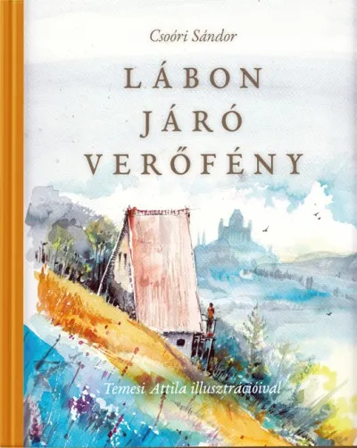 Akciós ár Lábon járó verőfény - (Gyermekversek, 1987)
