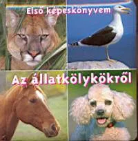 Vedd meg online Első képeskönyvem - Az állatkölykökről