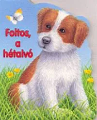 Foltos, a hétalvó Csak ma