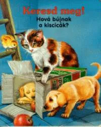 Keresd meg! - Hová bújnak a kiscicák? Nézd meg most