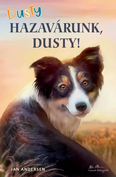Olcsó Dusty - Hazavárunk, Dusty!