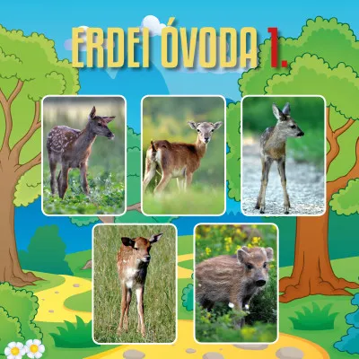 Népszerű Erdei óvoda 1.