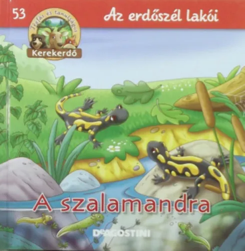 A szalamandra - Az erdőszél lakói (Kerekerdő) Akció