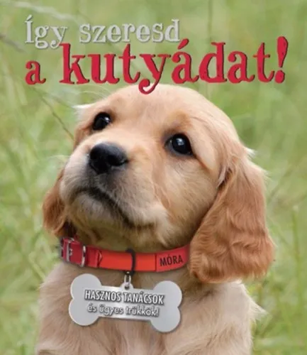 Így szeresd a kutyádat! Legjobb ár