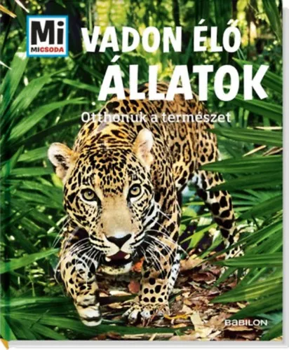Szezonális akció Vadon élő állatok - Otthonuk a természet