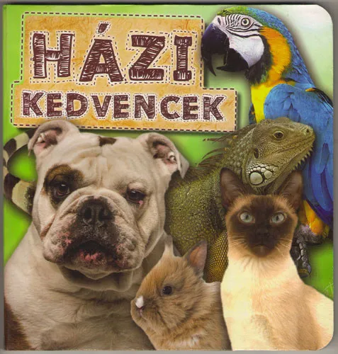 Expressz kézbesítés Házi kedvencek