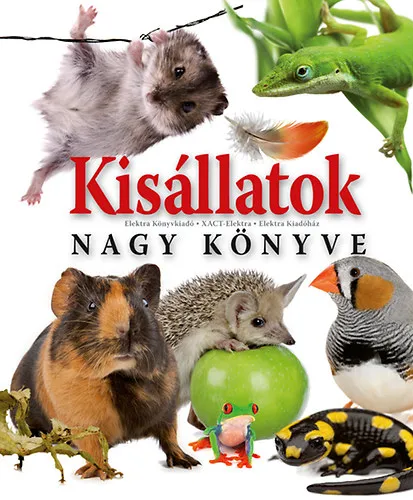 Kisállatok nagy könyve Azonnali szállítás