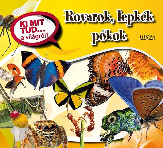 Rovarok, lepkék, pókok Árcsökkenés