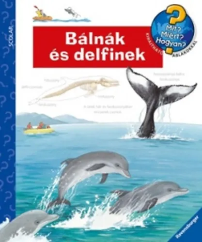Bálnák és delfinek Vedd meg most