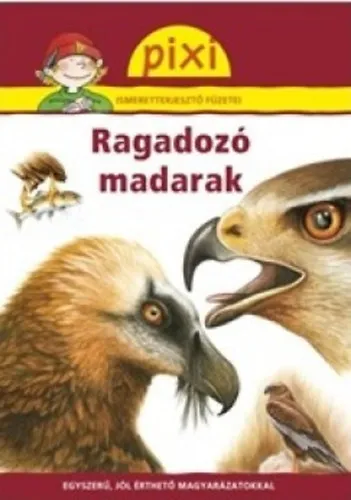 Olcsó Ragadozó madarak