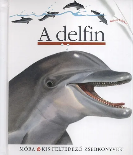 A delfin - Kis felfedező zsebkönyvek 28. Azonnal elérhető