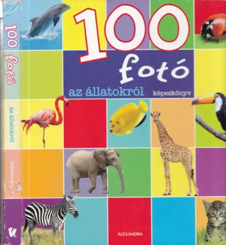 100 fotó az állatokról - Képeskönyv Legnépszerűbb