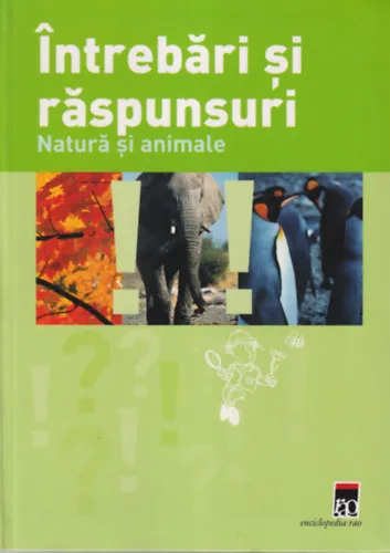 Intrebari si raspunsuri Nézd meg most