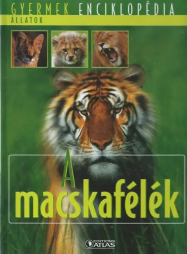 Expressz szállítás A macskafélék (Gyermek Enciklopédia)