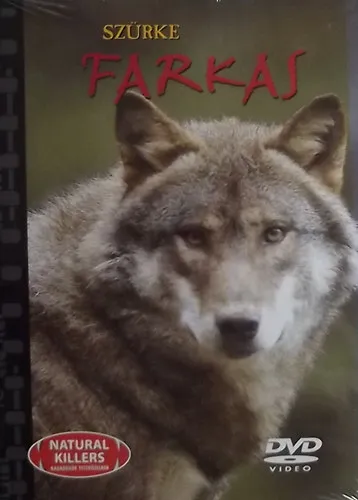 Ragadozók testközelben 25. - Szürke farkas (DVD melléklettel) Akciós ár