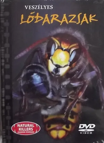 Árengedmény Ragadozók testközelben 24. - Veszélyes lódarazsak (DVD melléklettel)