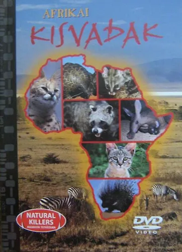 Nézd meg most Ragadozók testközelben 22. - Afrikai kisvadak (DVD melléklettel)
