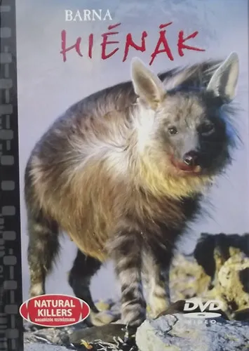 Ragadozók testközelben 11. - Barna hiénák (DVD melléklettel) Gyors szállítás