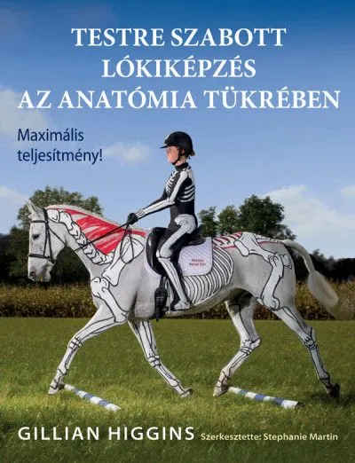Kedvezmény Testre szabott lókiképzés az anatómia tükrében