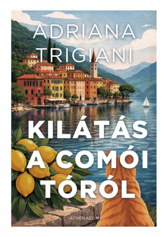 Legnépszerűbb Kilátás a Comói-tóról