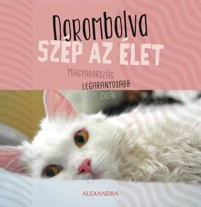 Biztonságos fizetés Dorombolva szép az élet - Magyarország legaranyosabb cicái - 365 gondolat