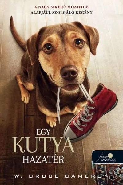 Egy kutya hazatér (filmes borító) Akciós ár