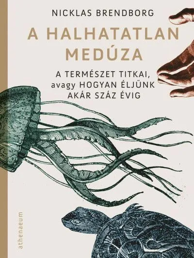 A halhatatlan medúza - A természet titkai, avagy hogyan éljünk akár száz évig Utolsó esély