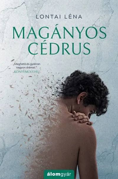 Végkiárusítás Magányos cédrus