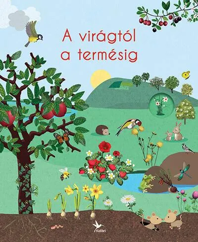 A virágtól a termésig - A természet körforgása Alacsony ár