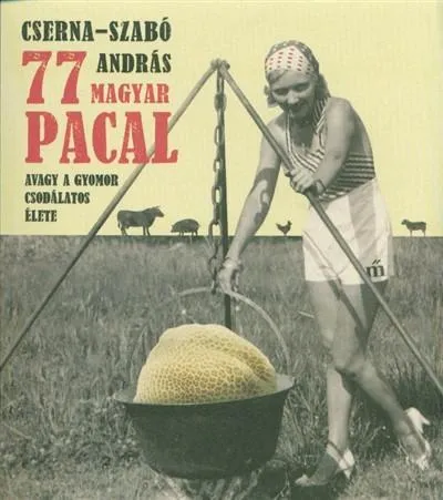 77 magyar pacal - Avagy a gyomor csodálatos élete Szezonális akció