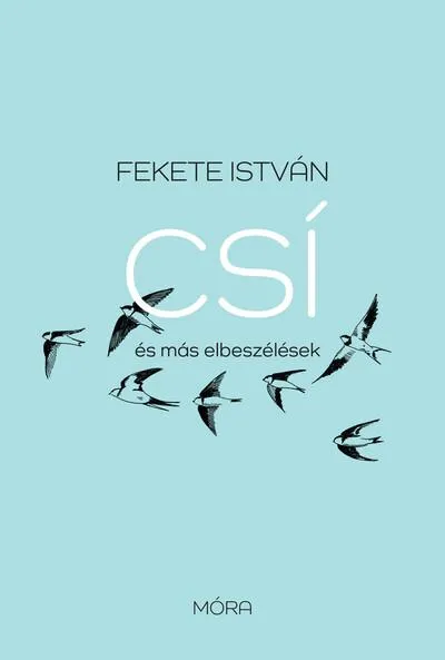 Expressz szállítás Csí és más elbeszélések (új kiadás)