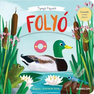 Expressz szállítás Tipegő figyelő: Folyó - Csúszkák minden oldalon