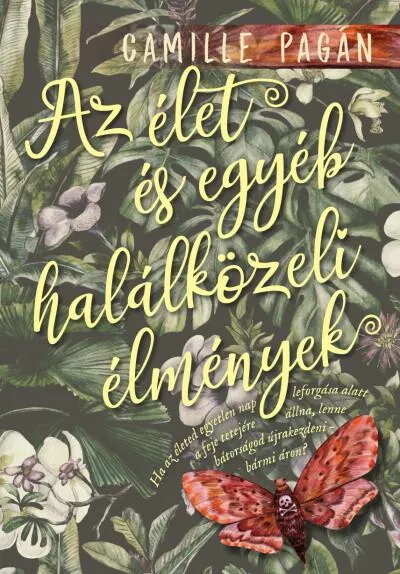 Az élet, és egyéb halálközeli élmények Ajánlat