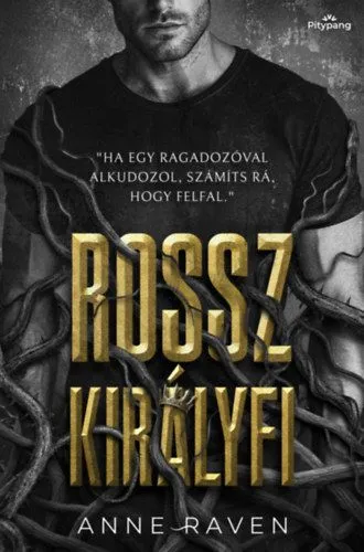 Biztonságos fizetés Rossz királyfi - (Különleges kiadás)