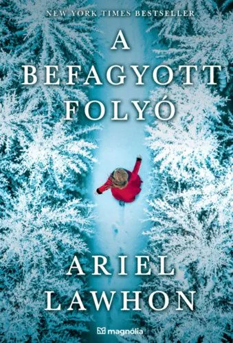 Biztonságos vásárlás A befagyott folyó
