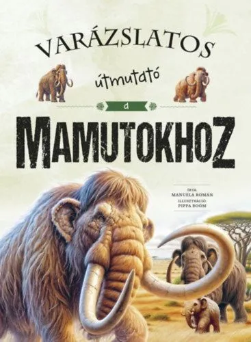 Biztonságos fizetés Varázslatos útmutató a mamutokhoz