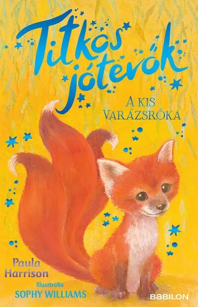 Olcsó A kis varázsróka - Titkos jótevők