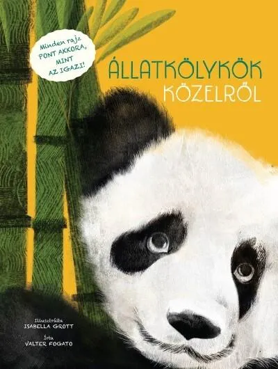 Állatkölykök közelről Expressz kézbesítés
