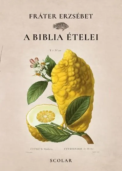 Olcsó A Biblia ételei