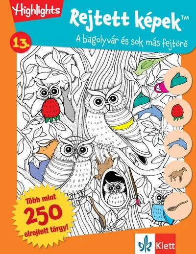 Gyors szállítás Rejtett képek 13. - Bagolyvár és sok más fejtörők