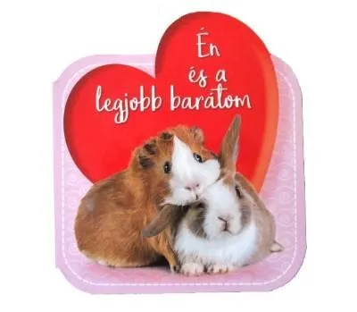 Vásárlói kedvenc Én és a legjobb barátom